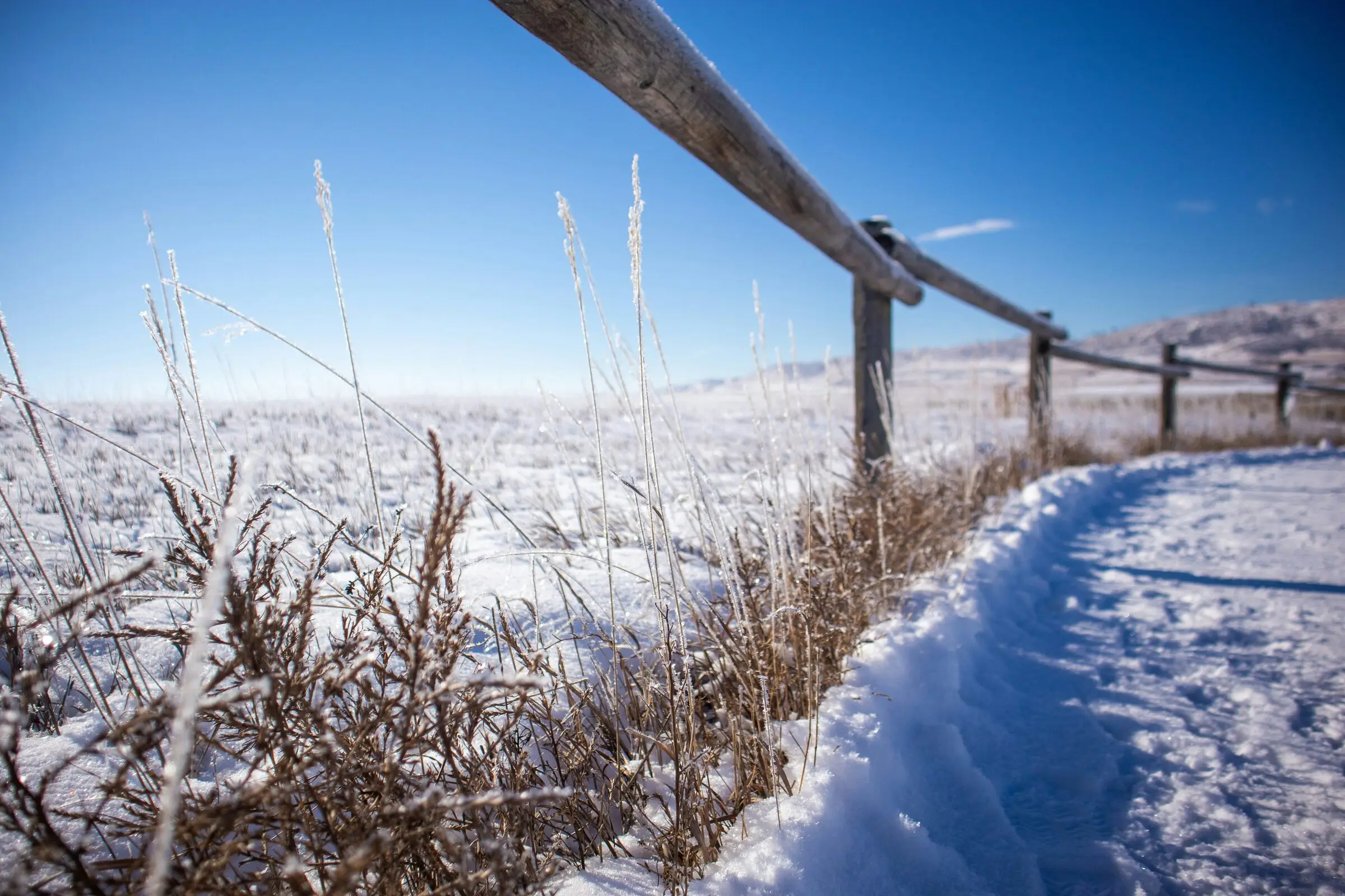 A weathered split-rail fence beside a trodden snowy trail, frost-covered prairie grasses in the foreground and snow-covered rolling hills under a clear blue sky.