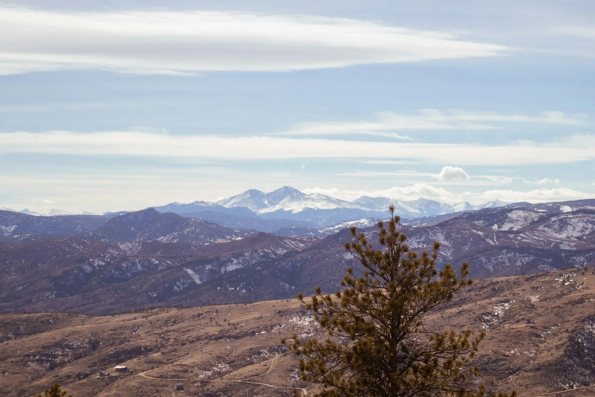 View west across brown, lightly snow-patched foothills to the snow-covered Mummy Range and Longs Peak, a ponderosa pine in the lower right foreground and long streaks of cloud above.