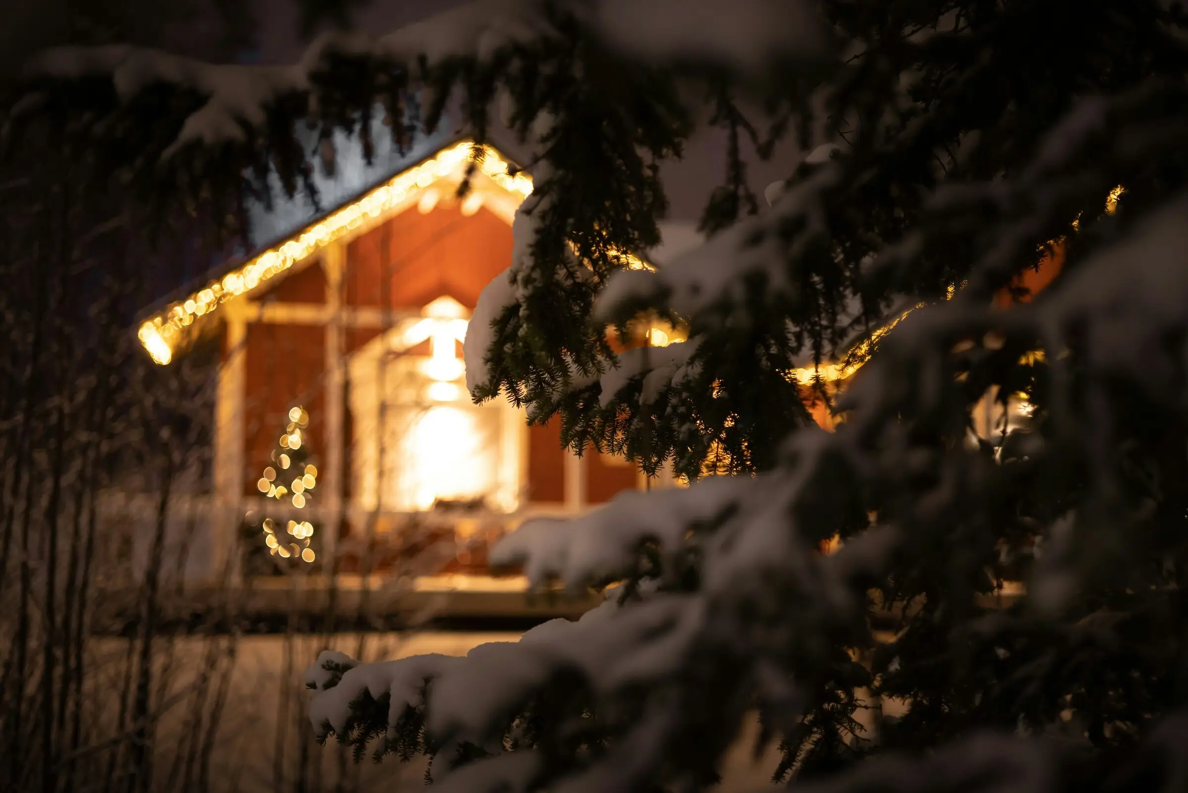A red-sided house at night with warm-white string lights along the gable and roofline and a lit tree in the window, seen through snow-laden spruce branches in the foreground.