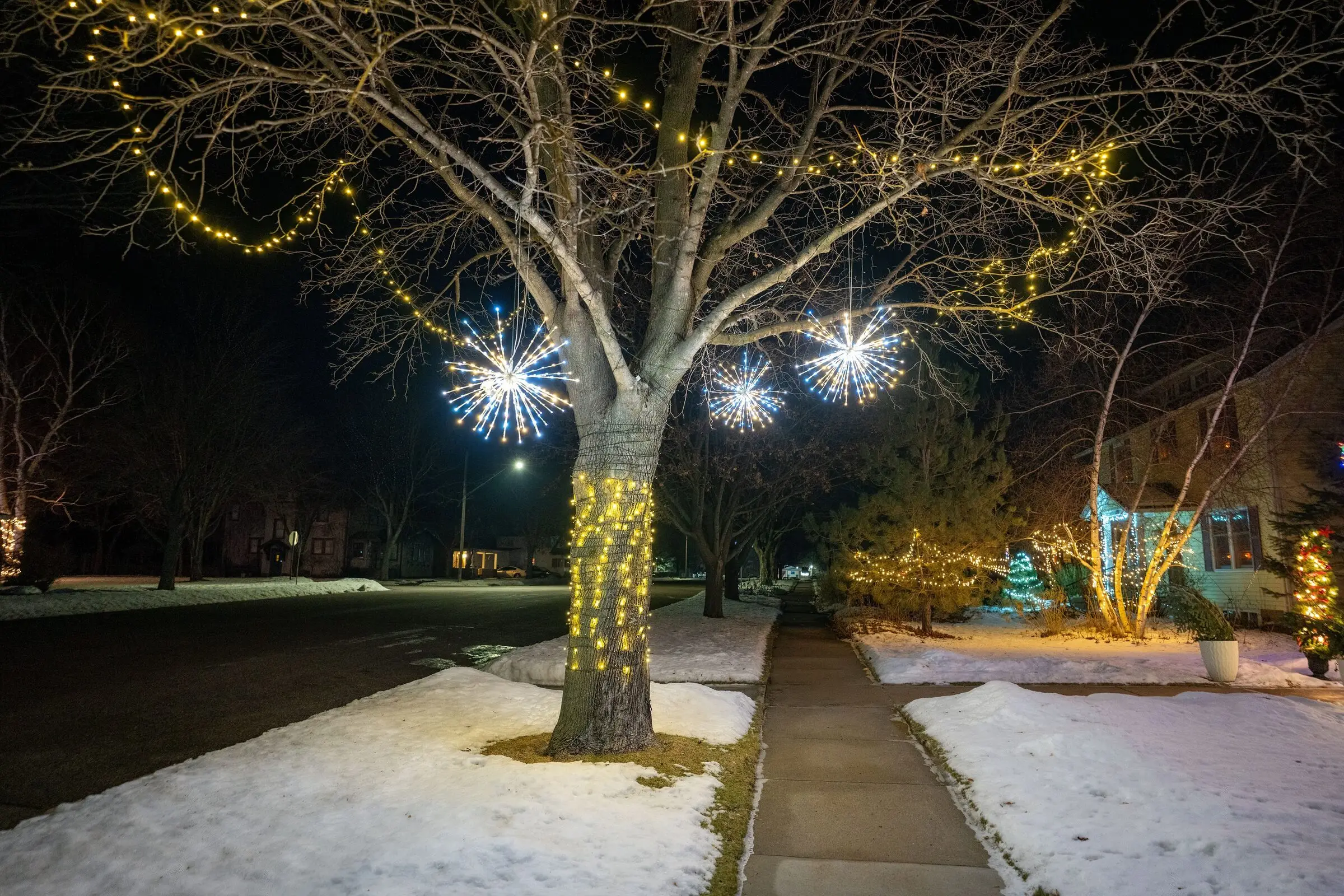 A residential street at night in winter: a large street tree wrapped in warm-white lights with starburst ornaments hanging from its branches, a shovelled sidewalk running between snowbanks, and lit houses and trees beyond.